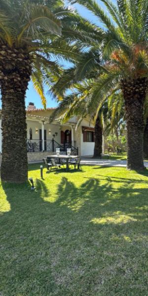 Palm Luxury Villa In Kallithea